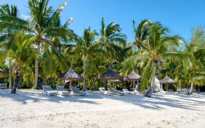 Carnet de voyage : l’Île Maurice